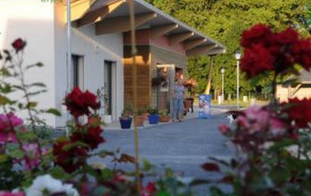 Camping Au Bord De L'Aisne Guignicourt Luaran gambar